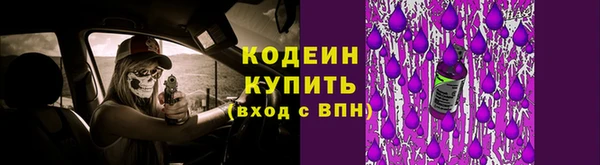 трава Снежногорск