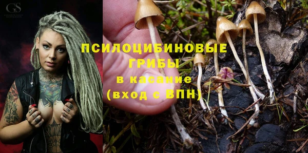 дурь Зеленодольск