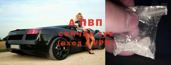 ПСИЛОЦИБИНОВЫЕ ГРИБЫ Инта
