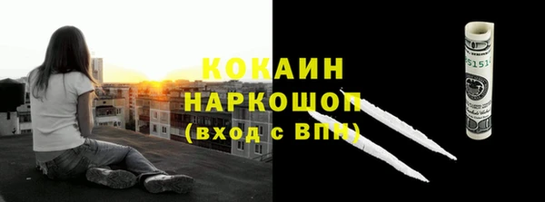 стафф Зерноград