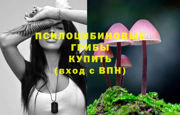 дурь Зеленодольск
