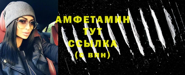 ПСИЛОЦИБИНОВЫЕ ГРИБЫ Инта