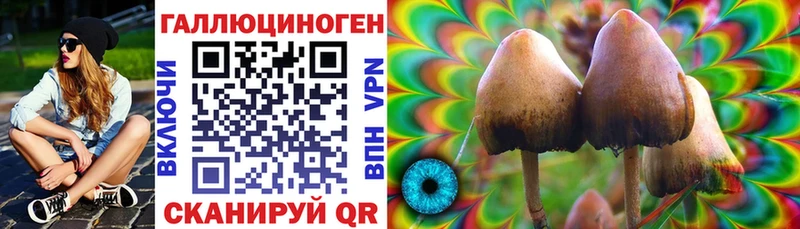 Купить закладки Вяземский Псилоцибиновые грибы Psilocybine cubensis